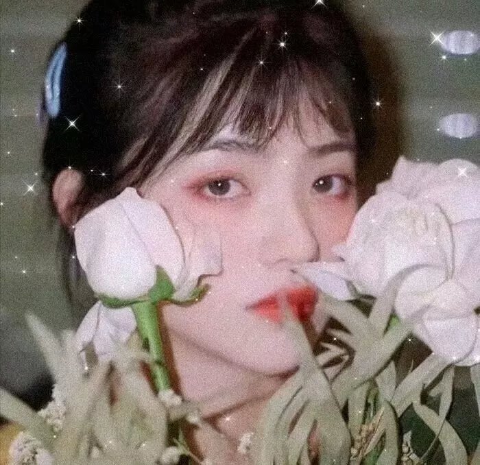 送初恋回家